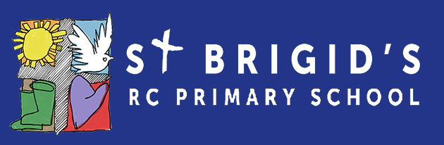 st brigids rc primary logo